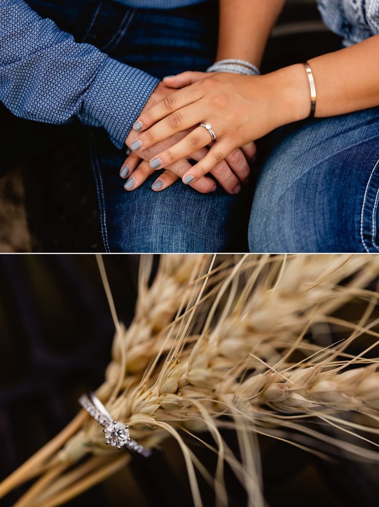 Colorado Engagement Photographer, Colorado Wedding Photographer, Colorado Farm Engagement Photographer, Colorado Farm Wedding Photographer, Keenesburg Wedding Photographer, Keenesburg Engagement Photographer, Colorado Wheat Harvest Engagement Photographer, Engagement Photos in Colorado Fields, Colorado Country Engagement Photographer, Brush Engagement Photographer, Brush Wedding Photographer, Bennett Wedding Photographer, Bennett Engagement Photographer, Denver Engagement Photographer