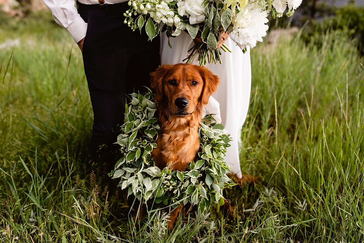 Colorado Elopement Photographer, Colorado Elopement, Fort Collins Wedding Photographer, Fort Collins Elopement Photographer, Horsetooth Reservoir Wedding Photographer, Horsetooth Elopement, Horsetooth Fort Collins Elopement Photographer, Fort Collins Wedding Photography, Wedding Photography Fort Collins Colorado, Wedding Photographer Colorado, Dogs in Colorado Weddings, Wedding Photographer Loveland Colorado, Loveland Colorado Weddings, Fort Collins Weddings, Colorado Wedding Photographer