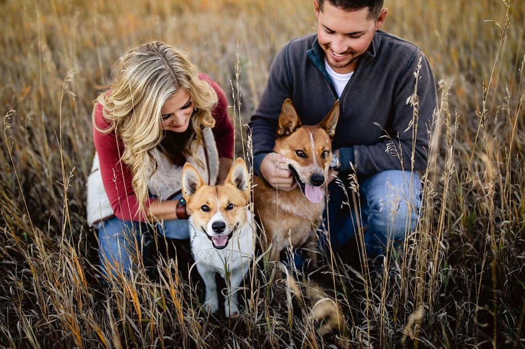Longmont Colorado Engagement Photography, Longmont Engagement Photographer, Longmont Wedding Photographer, Colorado Engagement Photographer, Colorado Wedding Photographer, Denver Engagement Photographer, Engagement Photographer Denver, Engagement Photographer Longmont, Engagement Photographer Colorado, Engagement Photographer Boulder, Boulder Engagement Photographer, Longmont Engagement Photography, Longmont Engagement Locations, Colorado Engagement Session with Dog, Colorado Dog Engagement Pics