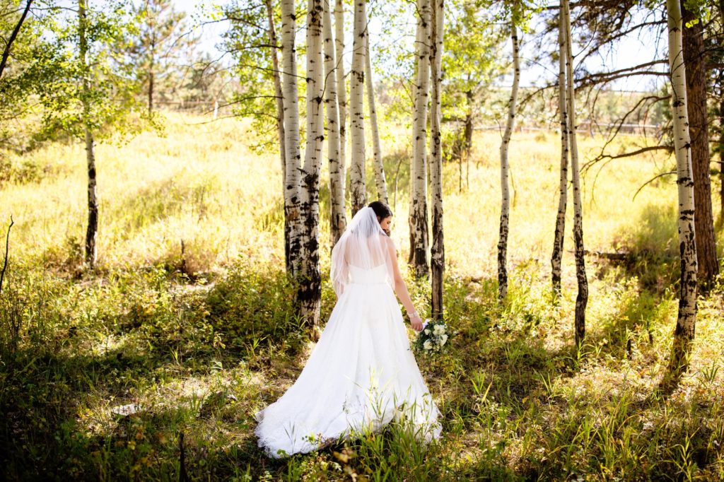 Mount Vernon Canyon Club Wedding, Weddings at Mount Vernon, Mount Vernon Canyon Club Wedding Photographer, Wedding Photos Mount Vernon Canyon Club, Golden Wedding Photographer, Wedding Photography Golden, Colorado Wedding Photographer, Northern Colorado Wedding Photographer, Golden Wedding Photography, Wedding Photographer Golden Colorado, Denver Wedding Photographer, Wedding Photography Denver, Greeley Wedding Photographer, Taylor Nicole Photography