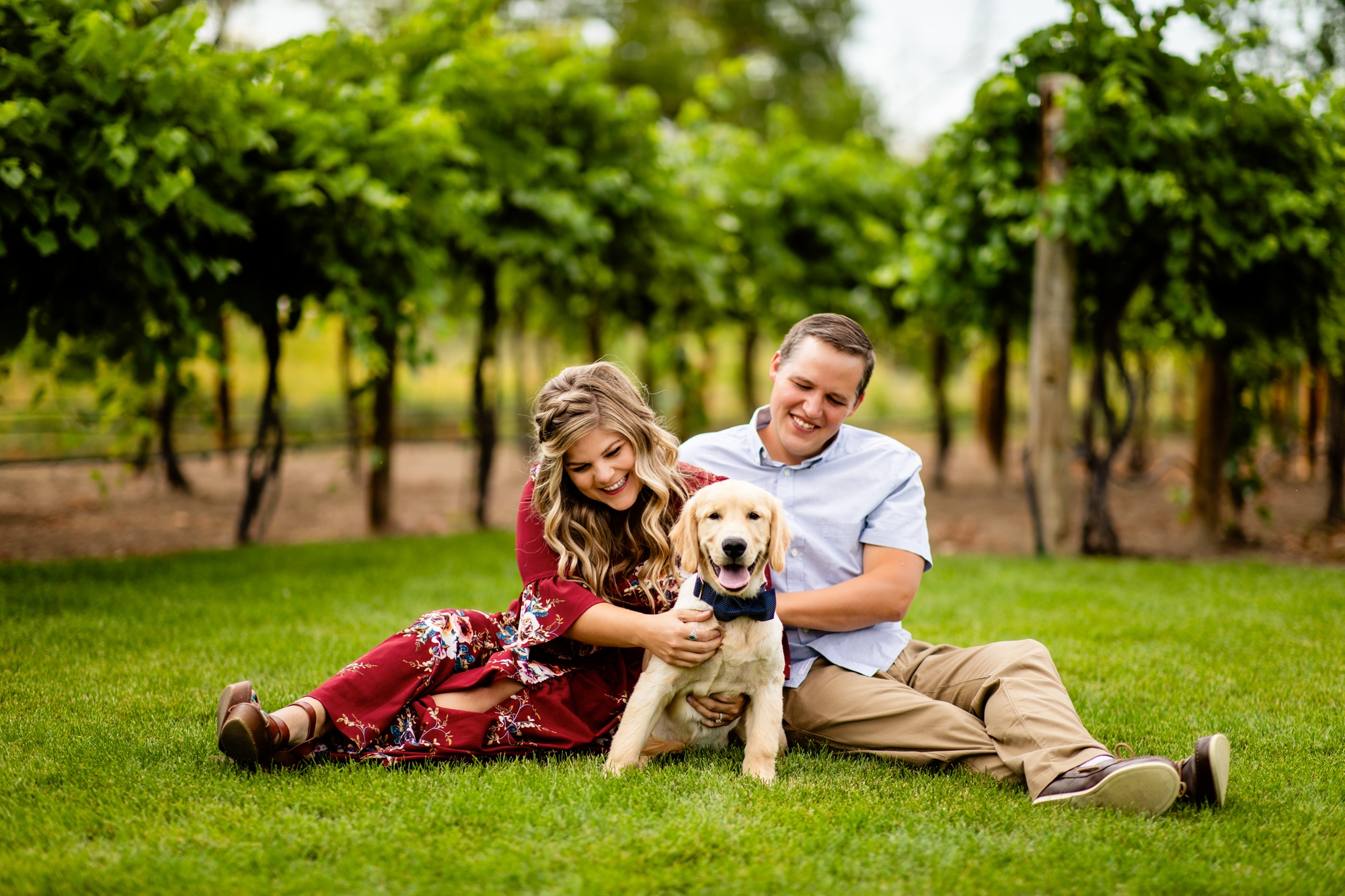 Anniversary Portraits taken at River Garden Winery in Fort Lupton, Colorado with golden retriever puppy.