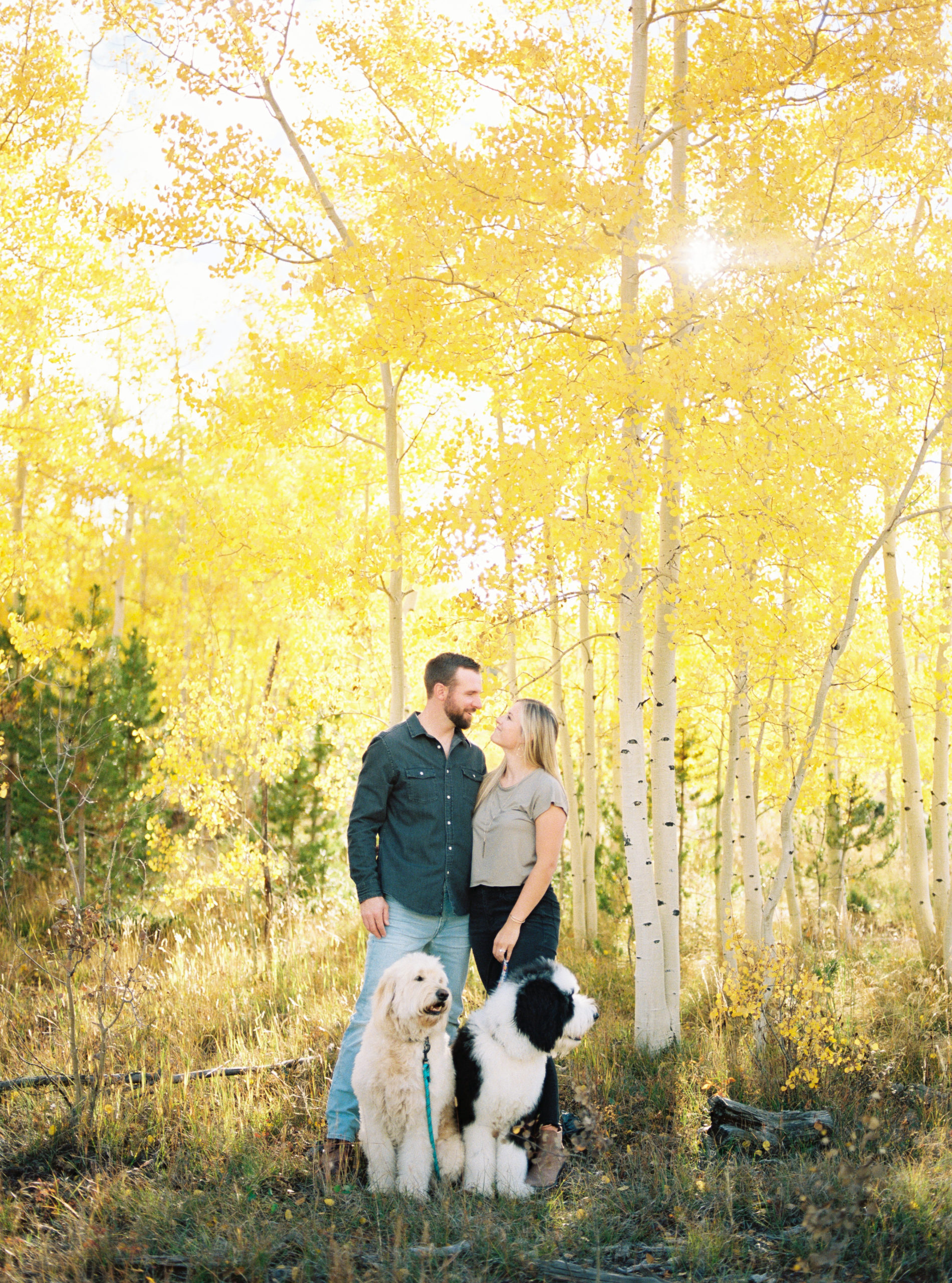 Engagement portrait of couple in Fall colors with dogs in Silverthorne, CO