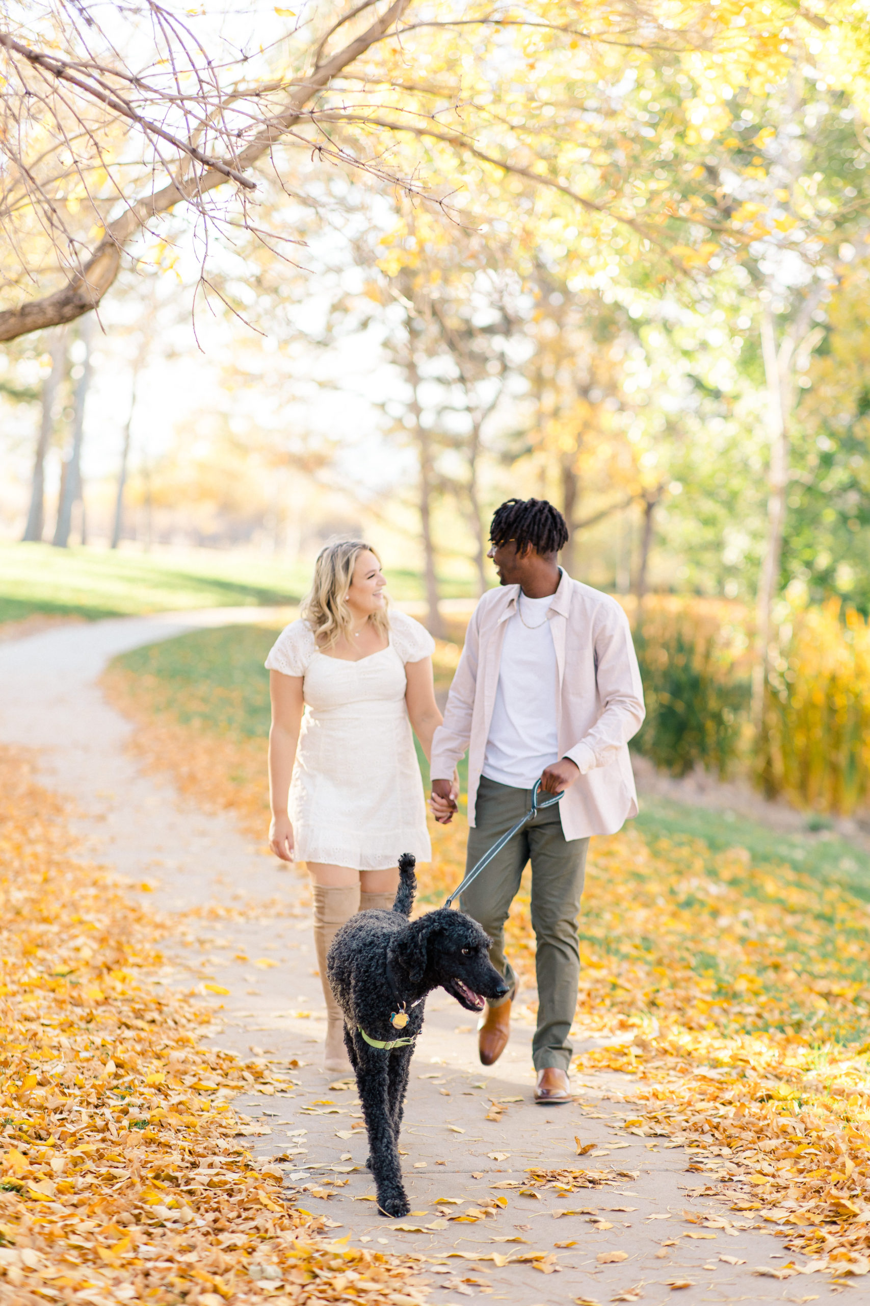 Couple walking dog in park during the Fall in Westminster, Colorado